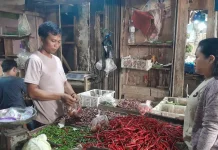 Harga Bawang Merah Melonjak di Pandeglang
