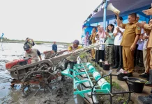 Provinsi Banten Tembus 8 Besar Lumbung Beras Nasional