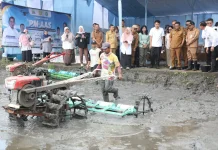 Pemkot Serang Targetkan Produksi 10 Ton Gabah Padi Per Hektare