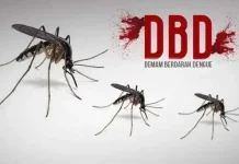Dinkes Lebak Ajak Warga Cegah Penyebaran DBD