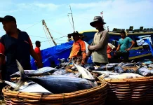 Diskan Pandeglang Antisipasi Kelangkaan Solar saat Musim Puncak Tangkap Ikan