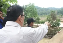 Wabup Lebak Tinjau Banjir di Kecamatan Cipanas