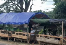 Tren Penurunan Penjualan Domba Kurban di Pandeglang