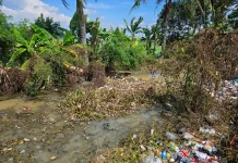 Pemkot Serang Fokus Benahi Kawasan Kumuh di Taktakan dan Kasemen