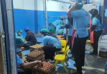 Cakupan MBG di Kota Serang Capai 82 Persen