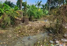 BPBD Soroti Redahnya Kesadaran Masyarakat dalam Menjaga Kebersihan Sungai