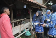 Bupati Pandeglang Monitoring Lapak Hewan Kurban