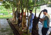 Juru Sembelih Halal Banten Fokuskan Kompetensi Petugas Sesuai Syariat