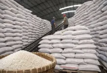 Bulog Jambi Siapkan Gudang Baru, Lima Pemkab Siapkan Hibah