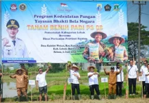 Gerakan Tanam Benih Padi PS 08 Perkuat Ketahanan Pangan di Lebak