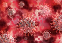 Dinkes Kota Serang Ingatkan Warga Waspadai Hantavirus