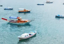 HNSI Banten Ajak Masyarakat Jaga Kelestarian Laut