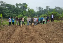 KNPI Lebak Kelola Pertanian untuk Dukung Ketahanan Pangan