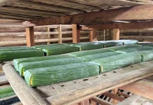 Harga Kedelai Impor Naik, Perajin Tempe Serang Kecilkan Ukuran Produksi