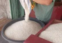 Produksi Beras Lebak Tembus Dua Ratus Ribu Ton