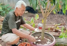 Inovasi Fast Track Ubah Sampah Jadi Pupuk