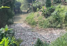 Sungai Cibanten Darurat Styrofoam, Relawan Desak Pemkot Serang Bikin Aturan