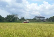 Brigade Pangan Lebak Optimalkan Pertanian Berbasis Teknologi