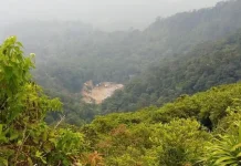Faktor Ekonomi Jadi Ancaman Kelestarian Hutan Pandeglang