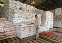 Perum Bulog Kantor Cabang Lebak-Pandeglang Serap Ribuan Ton Gabah