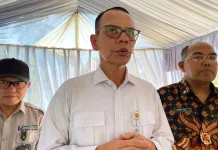Kementan Soroti Rendahnya Produktivitas Kebun Kelapa Pandeglang