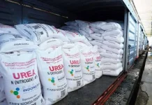 Stok Pupuk Bersubsidi Lebak Dipastikan Aman hingga Desember