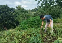 KMP Umbul Tengah Prioritaskan Produk UMKM Lokal