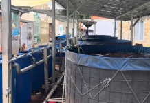 Pandeglang Akselerasi Program Budidaya Ikan Tematik Desa