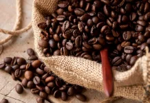 Punya Rasa Unik, Kopi Liberika Jadi Buruan Baru Pencinta Spesialti