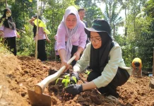 Dukung Ketahanan Pangan, Dompet Dhuafa Tanam Pohon Pangan di Pandeglang