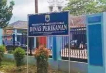 Pemkab Lebak Bangun UPTD Perikanan Dorong Produksi Ikan Lokal