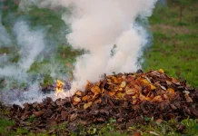 Warga Diminta Tinggalkan Kebiasaan Bakar Sampah