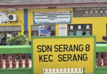 Murid SD Negeri Terus Menyusut, Dindikbud Perluas Penggabungan Sekolah
