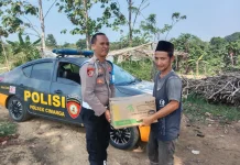 Polsek Cimarga Dukung Swasembada Pangan Melalui Bibit Jagung Berkualitas