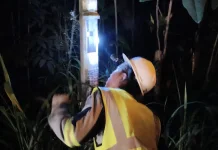 BPTD Banten Lakukan Pemeliharaan PJU di Jalan Serang - Pandeglang