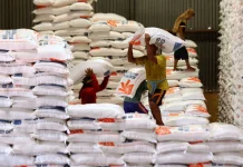 Disketapang  Lebak Pastikan Stok Beras Aman Hadapi El Niño