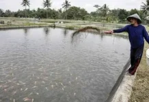 Lebak Targetkan Produksi Perikanan Naik Dua Persen Tahun Depan