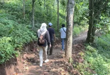 Tiga Pekan Dibuka, Gunung Gedor Perlebar Jalur Pendakian