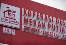 Sebanyak 58 KDMP Lebak Sudah Beroperasi Bertahap