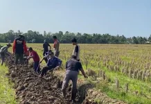 Kerap Banjir dan Kekeringan, Mahasiswa Unma dan Warga Normalisasi Irigasi