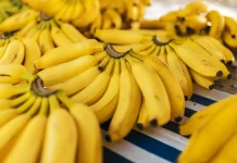 Cara Menyimpan Pisang agar Tetap Segar Lebih Lama