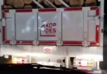 Truk Kopdes Merah Putih Angkut Kayu di Pandeglang