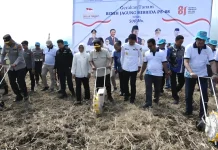Pemprov Banten Gelar Panen Raya Padi dan Tanam Jagung Hibrida di Carita
