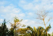 Cuaca Banten Diprediksi Berawan Disertai Hujan Ringan