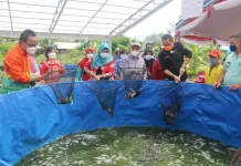 Lebak Bidik Jadi Lumbung Ikan Air Tawar Lewat Budidaya Tematik