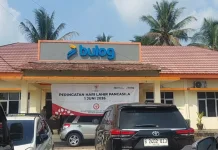 Bulog Masih Buka Peluang Kerja Sama dengan Koperasi Merah Putih