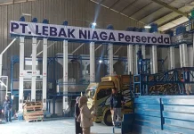 Perseroda Lebak Niaga akan Lakukan Kontrak Farming dengan Petani