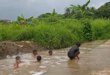 BBWSC3: Limbah Rumah Tangga Bisa Pengaruhi Produksi Padi