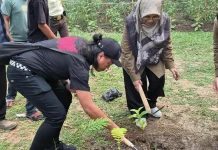 FKIP Untirta Tanam Ribuan Pohon saat Pengenalan Mahasiswa Baru