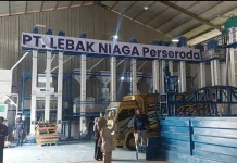 Surplus 172 Ribu Ton Beras, Lebak Siap Pasok Pangan Jabodetabek